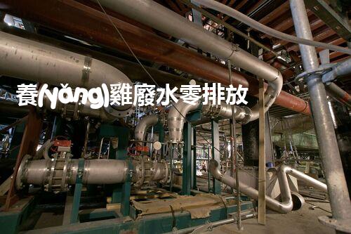 養(yǎng)雞廢水零排放之路？探索高效低成本的綠色處理方案！